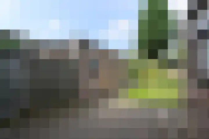 Richelpad 32 Lage Mierde thumbnail 22