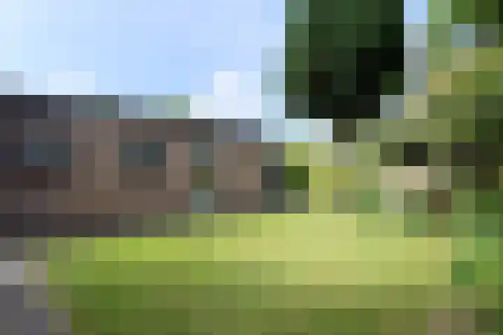 Richelpad 32 Lage Mierde thumbnail 23