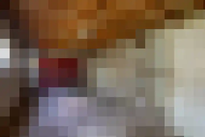 Richelpad 32 Lage Mierde thumbnail 24