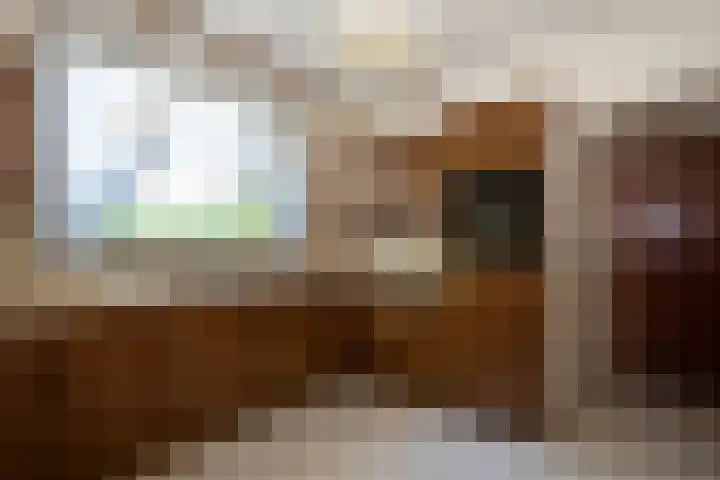 Richelpad 32 Lage Mierde thumbnail 5