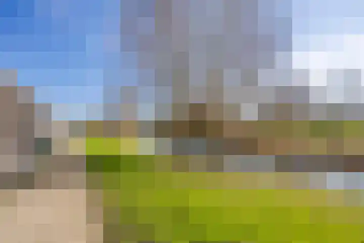 Richter 102 Werkendam thumbnail 14