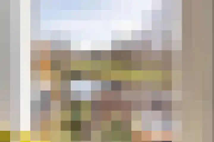 Richter 102 Werkendam thumbnail 25