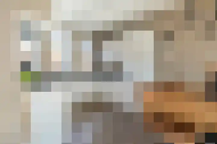 Richter 102 Werkendam foto 3