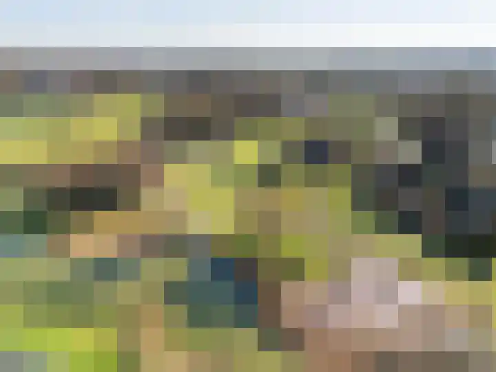 Richter 102 Werkendam thumbnail 33