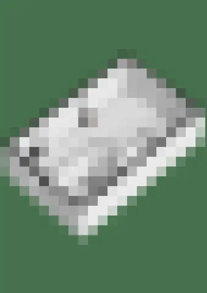 Richter 102 Werkendam thumbnail 36