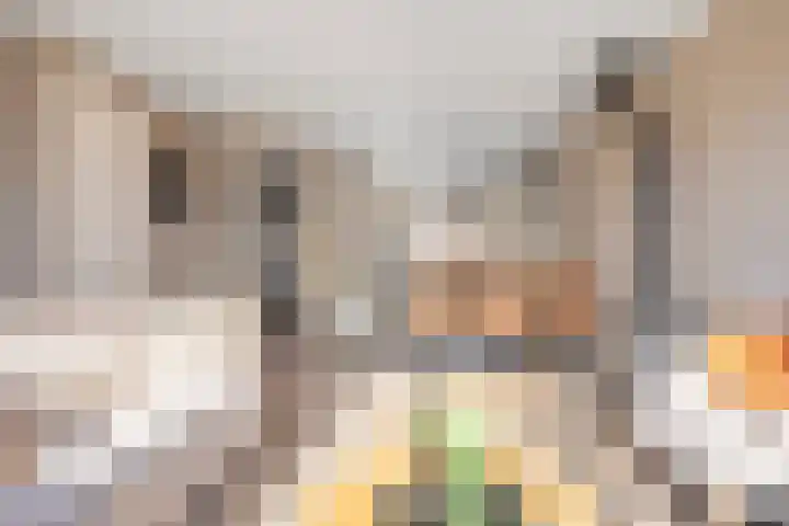 Richter 102 Werkendam thumbnail 8