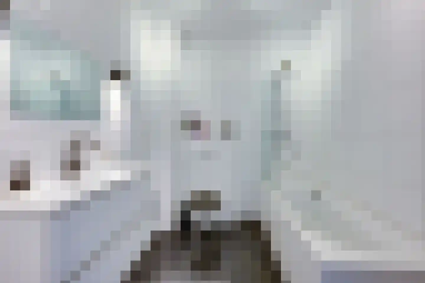 Richter 139 Werkendam foto 3