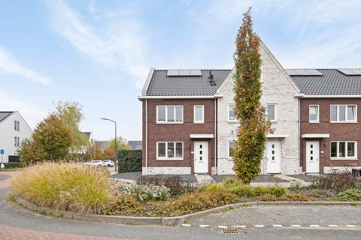 Richter 171 in Werkendam photo