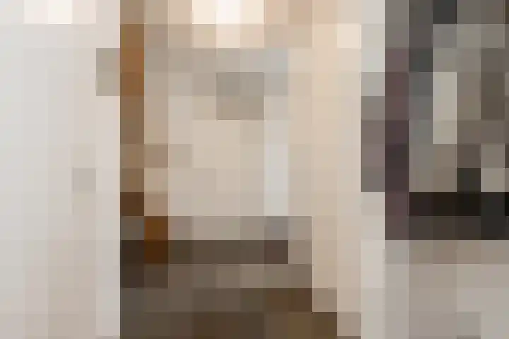 Richter 33 Werkendam thumbnail 11