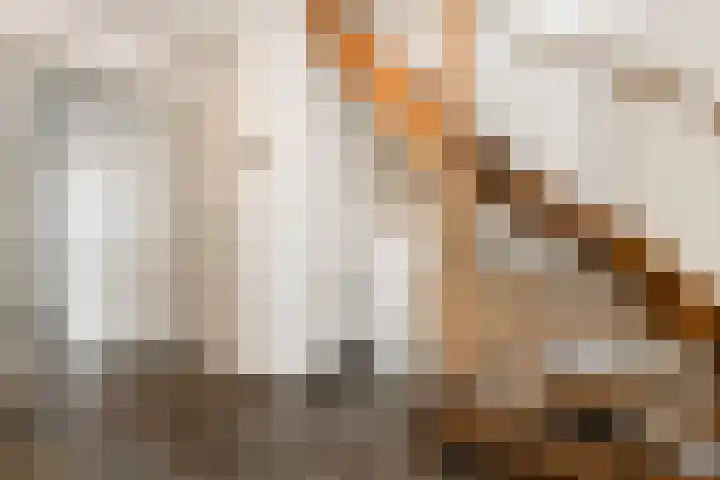 Richter 33 Werkendam thumbnail 12