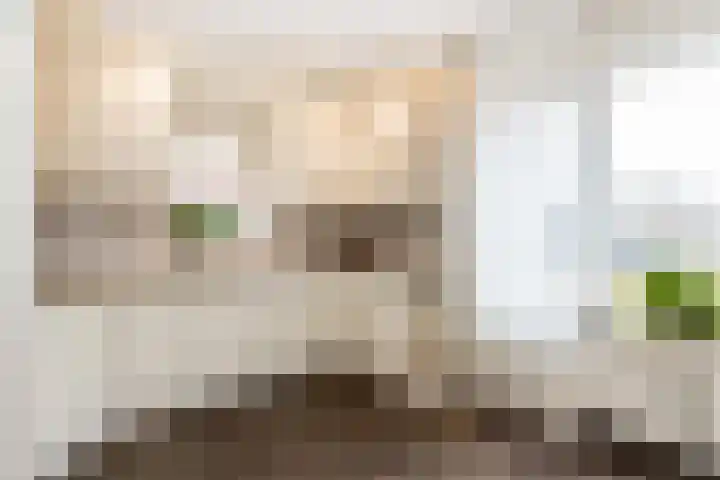 Richter 33 Werkendam thumbnail 14