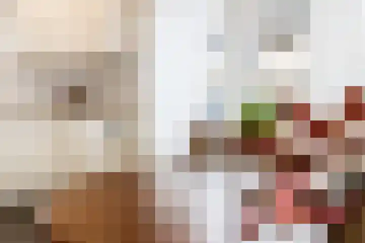 Richter 33 Werkendam thumbnail 16