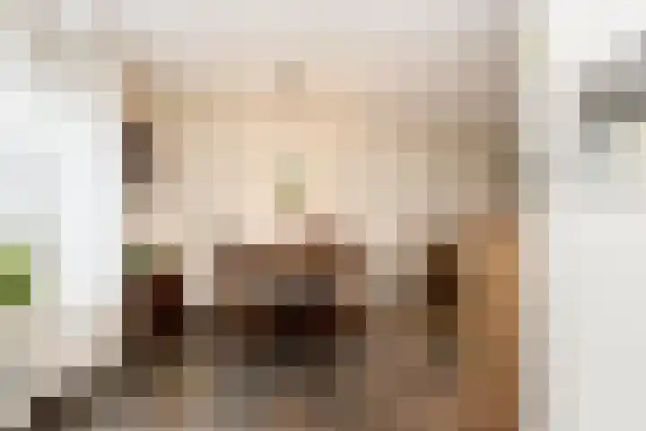 Richter 33 Werkendam thumbnail 19