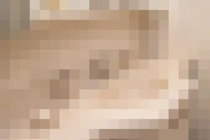 Richter 33 Werkendam thumbnail 40