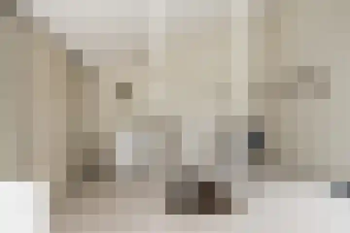 Richter 33 Werkendam thumbnail 43