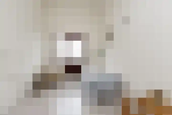 Richter 33 Werkendam thumbnail 47