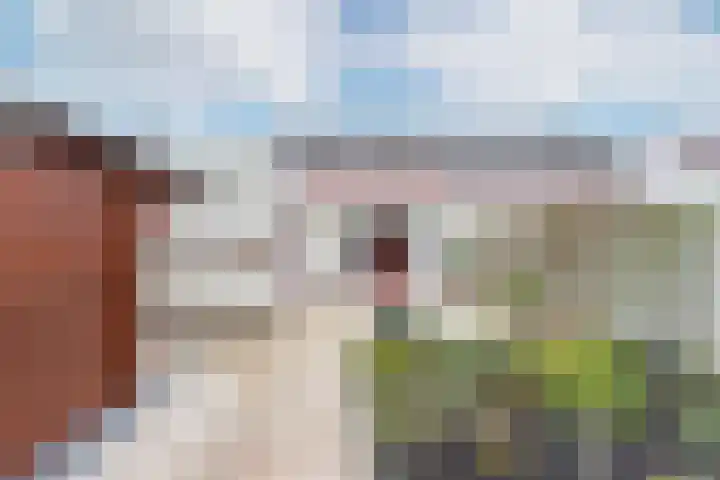 Richter 33 Werkendam thumbnail 52