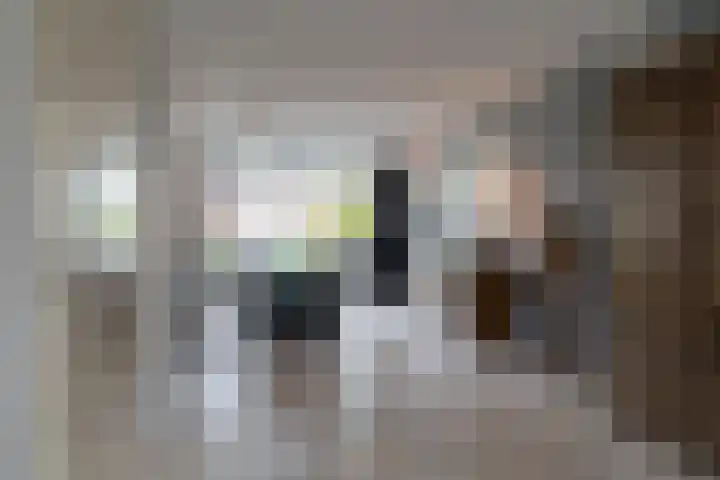 Richter 46 Werkendam thumbnail 10