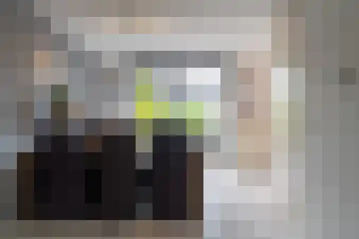 Richter 46 Werkendam thumbnail 14