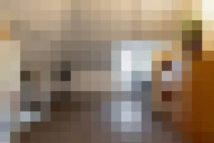 Richter 46 Werkendam thumbnail 24