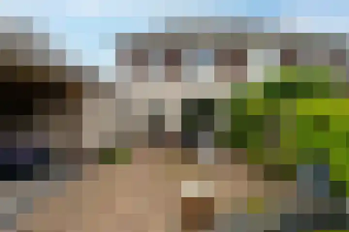 Richter 46 Werkendam thumbnail 26
