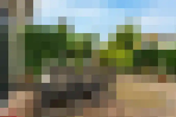 Richter 46 Werkendam thumbnail 28