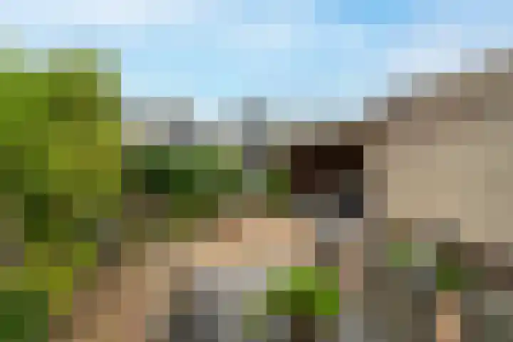 Richter 46 Werkendam thumbnail 29