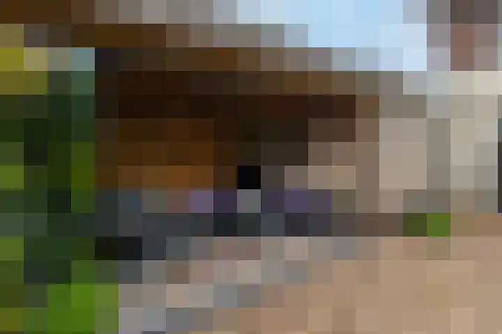 Richter 46 Werkendam thumbnail 30