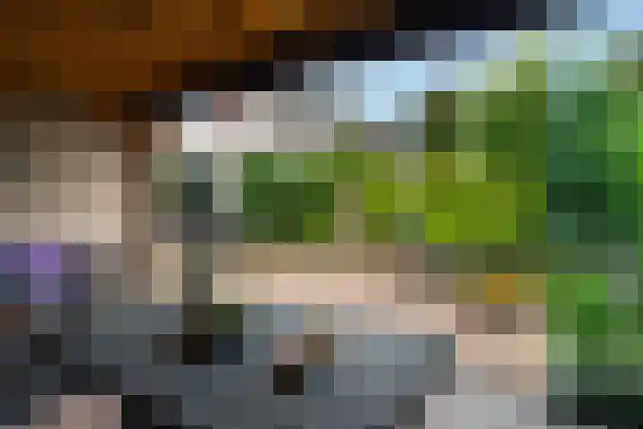 Richter 46 Werkendam thumbnail 31