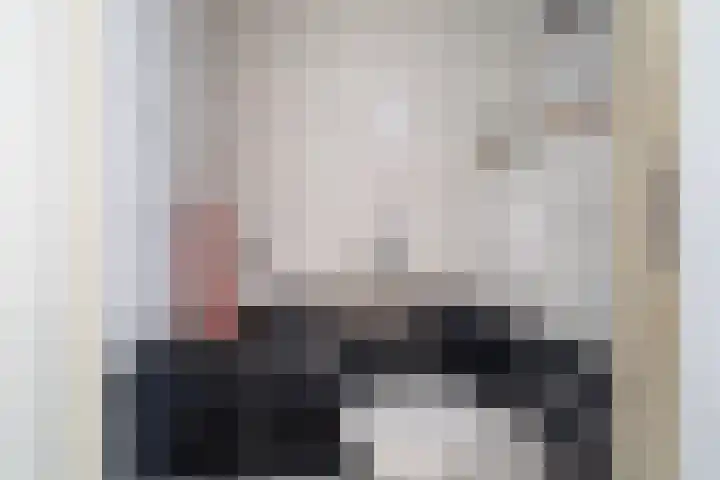 Richter 46 Werkendam thumbnail 5