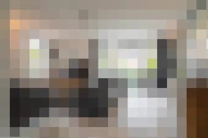 Richter 46 Werkendam thumbnail 7