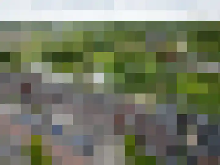 Richter 98 Werkendam