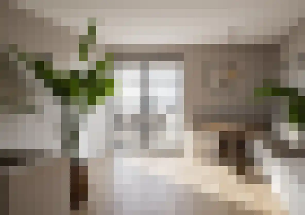 Richter Bosstraat 12 Oldenzaal thumbnail 10
