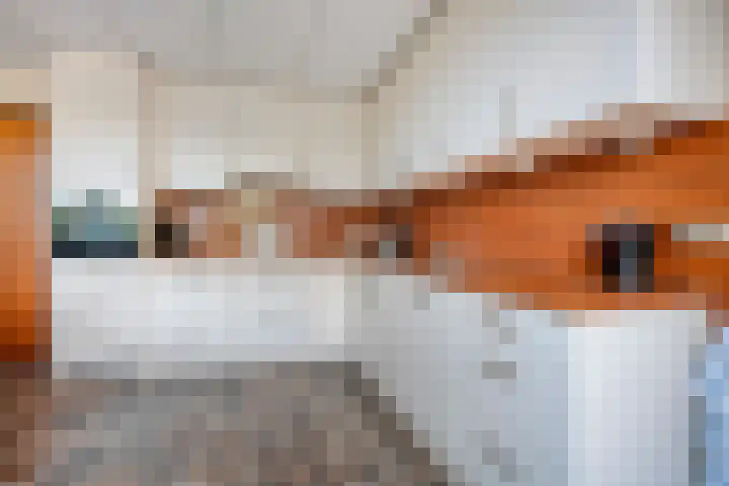 Richter Bosstraat 12 Oldenzaal thumbnail 14