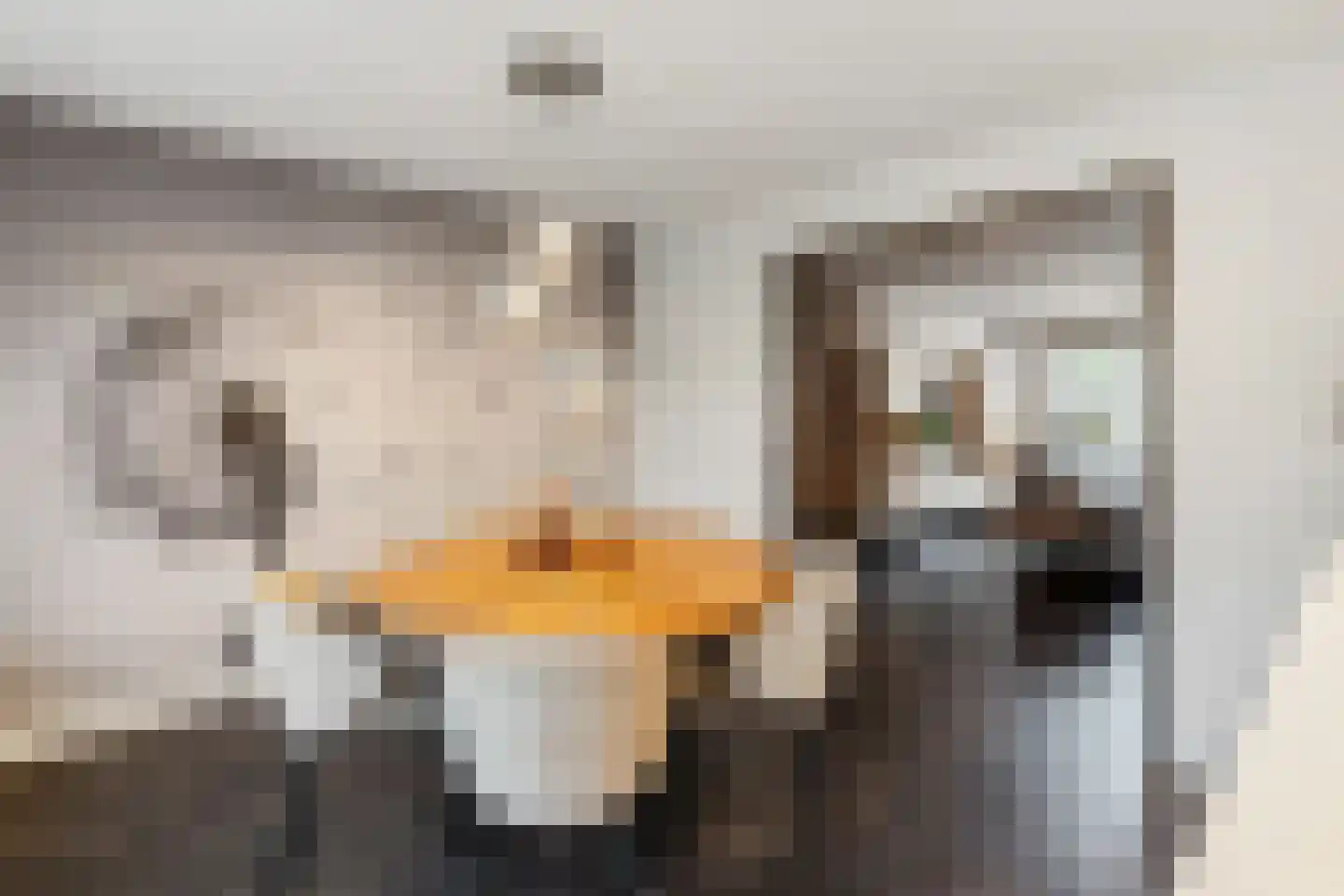 Richterambtweg 12 Raalte thumbnail 14