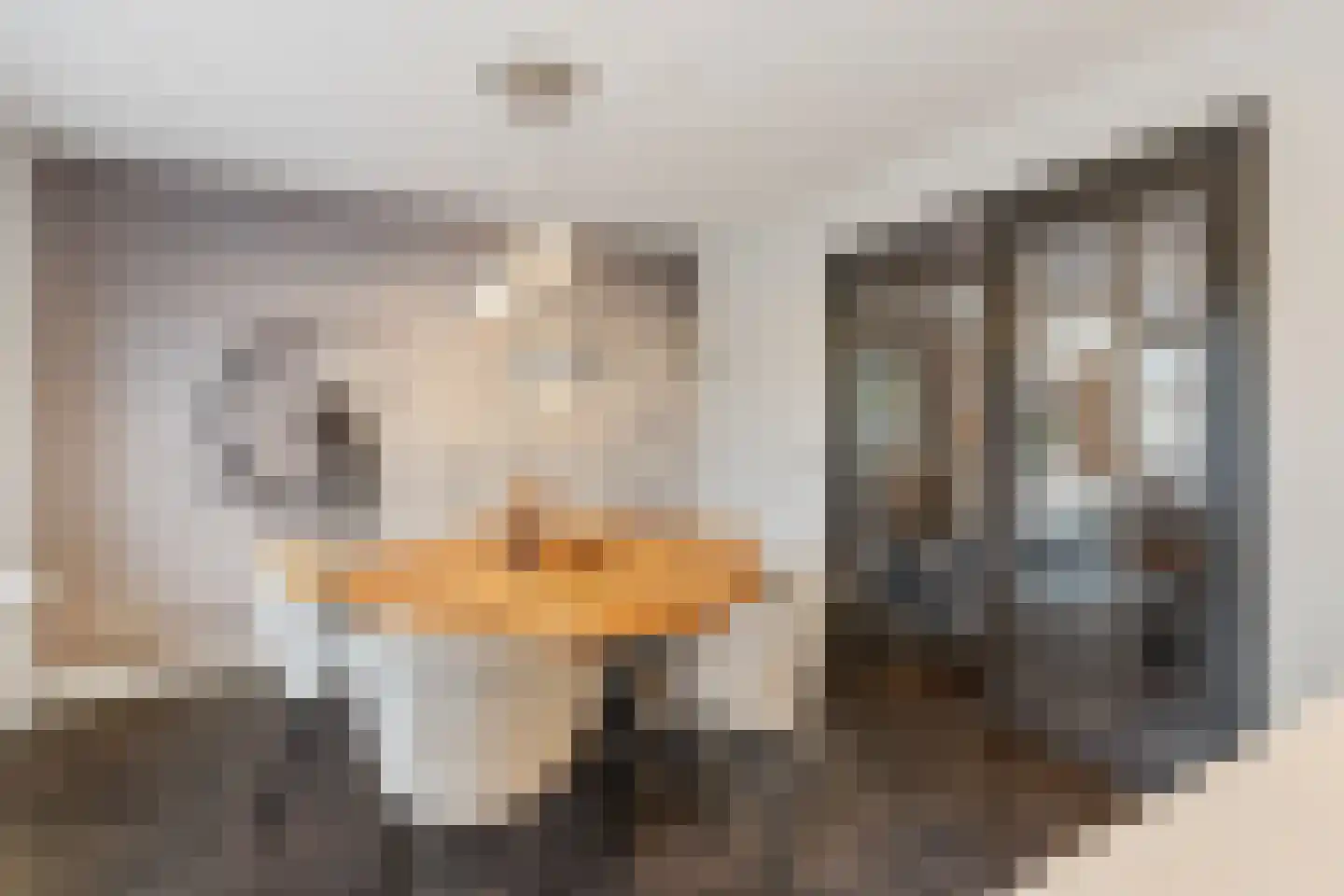 Richterambtweg 12 Raalte thumbnail 15