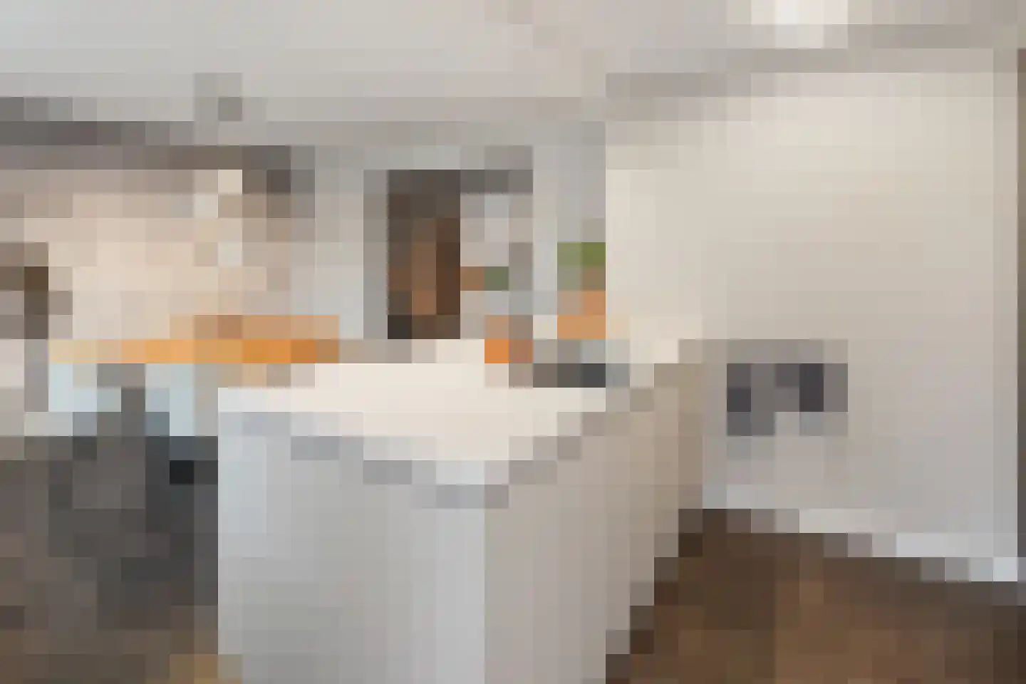Richterambtweg 12 Raalte thumbnail 17