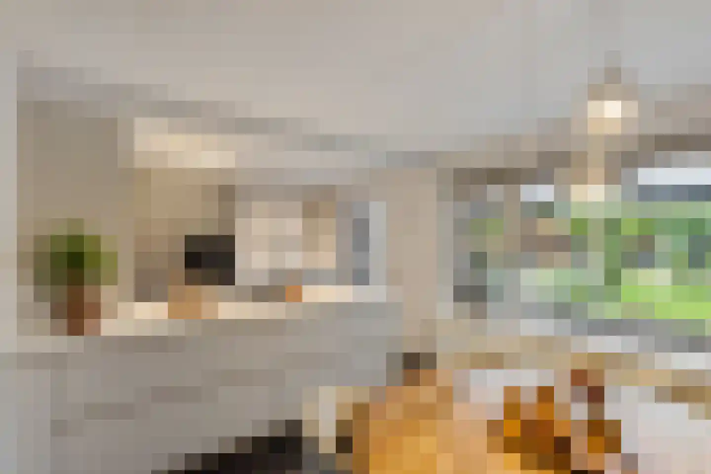 Richterambtweg 12 Raalte thumbnail 19