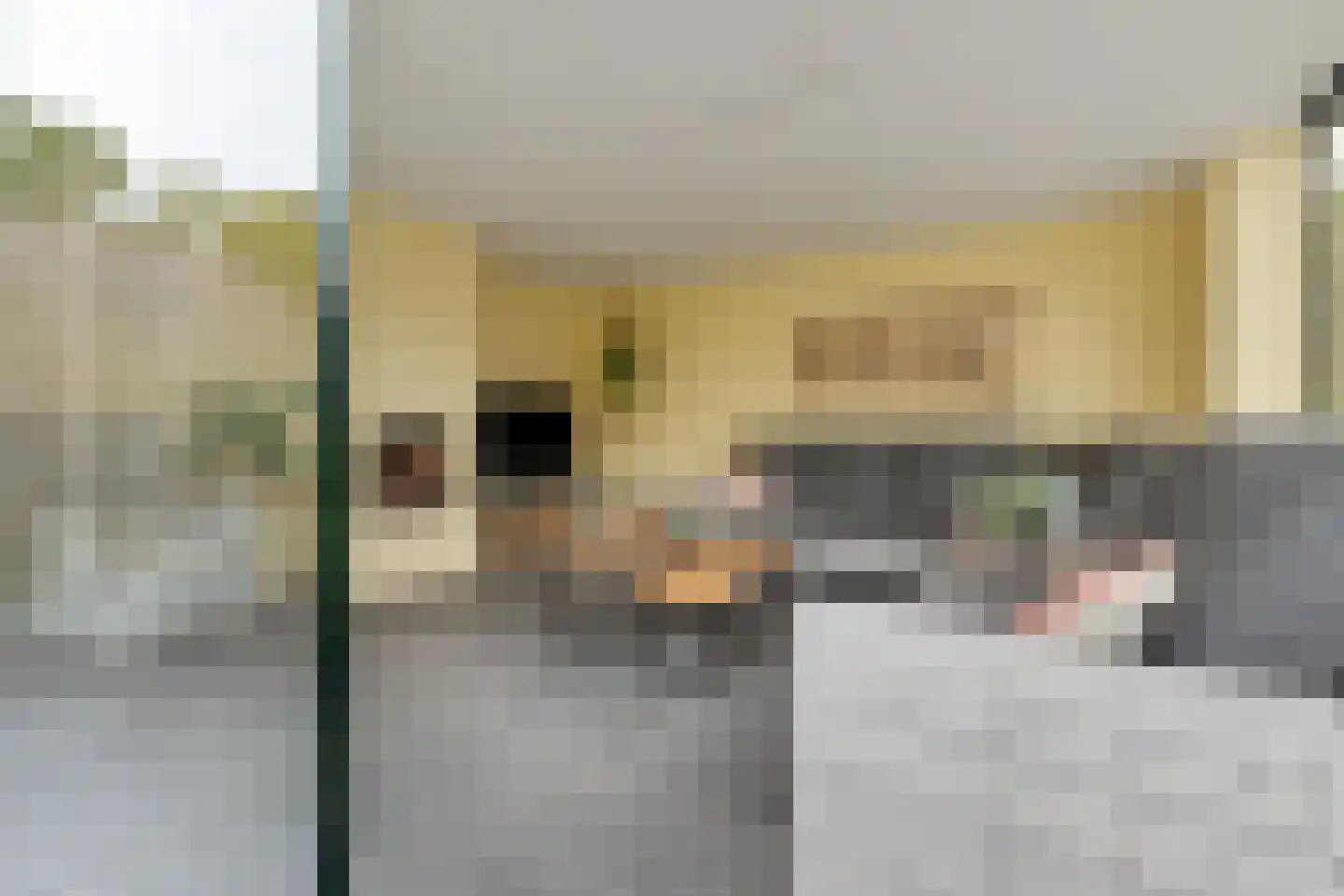 Richterambtweg 12 Raalte thumbnail 42