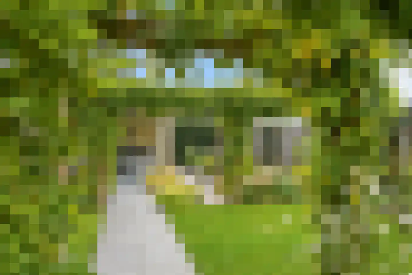 Richterambtweg 12 Raalte thumbnail 45