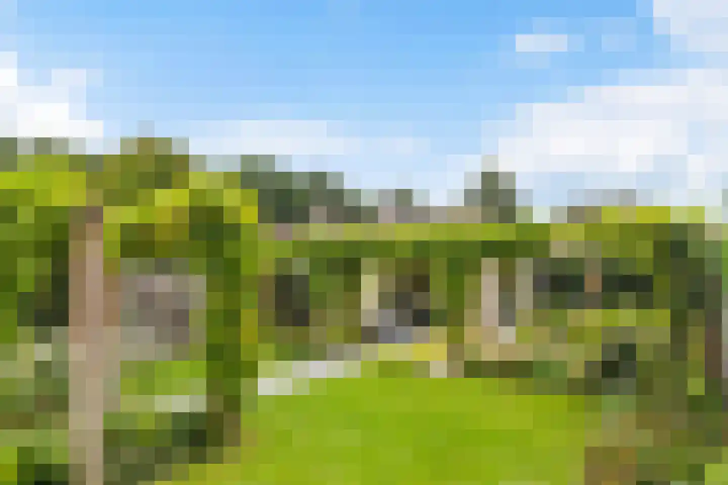 Richterambtweg 12 Raalte thumbnail 46