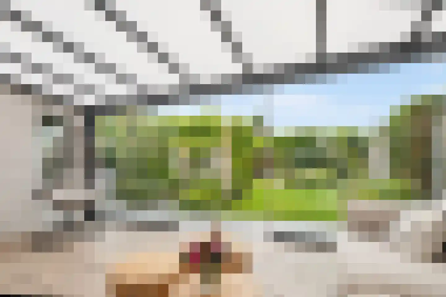 Richterambtweg 12 Raalte thumbnail 56