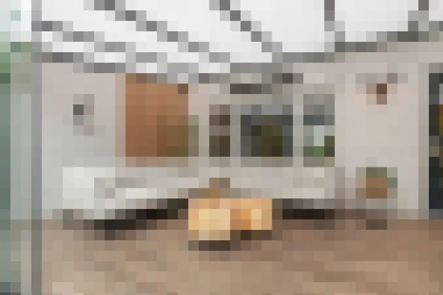 Richterambtweg 12 Raalte thumbnail 57