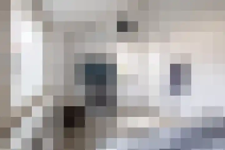 Richterdael 12 Roermond thumbnail 18