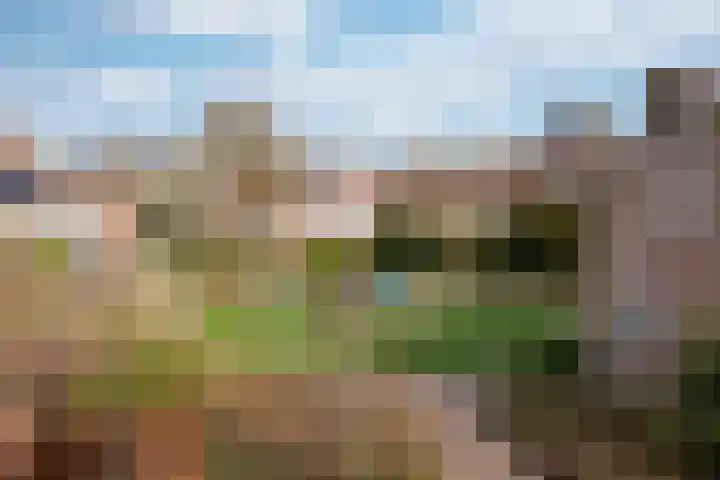 Richterdael 12 Roermond thumbnail 23