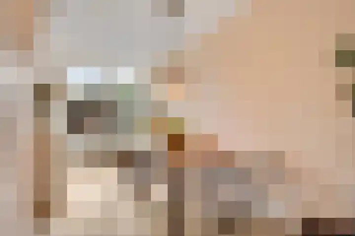 Richterdael 26 Roermond thumbnail 11
