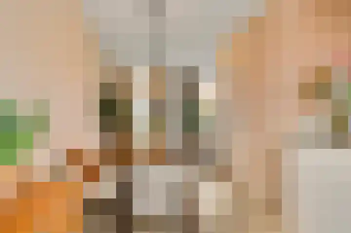 Richterdael 26 Roermond thumbnail 13