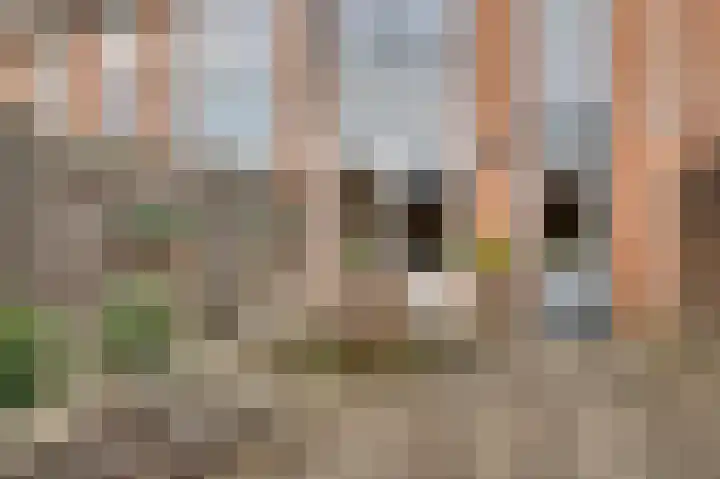 Richterdael 26 Roermond thumbnail 34
