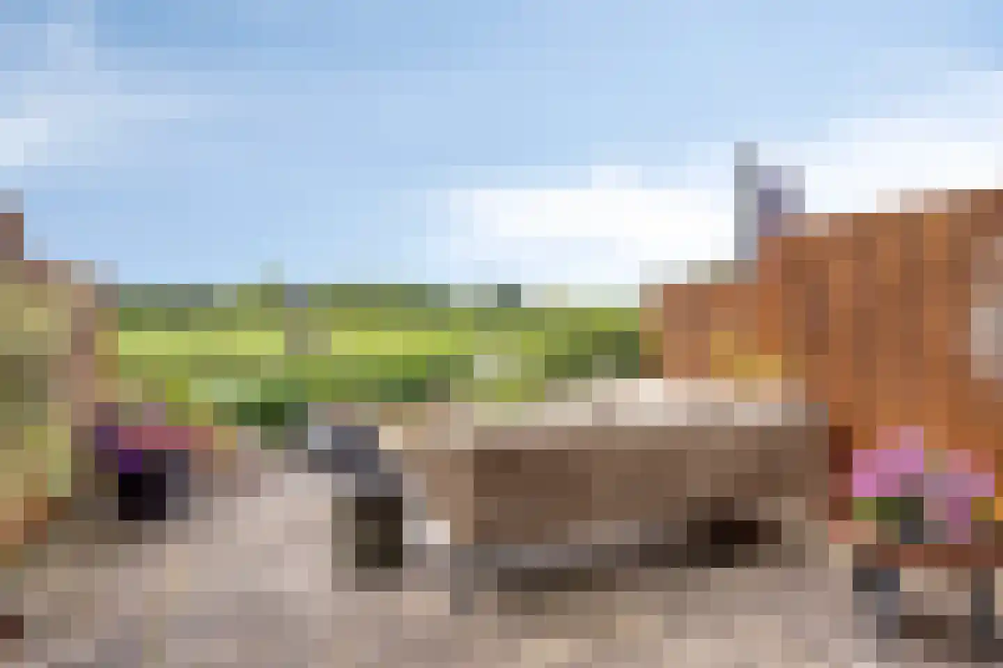 Richterdael 9 Roermond thumbnail 11