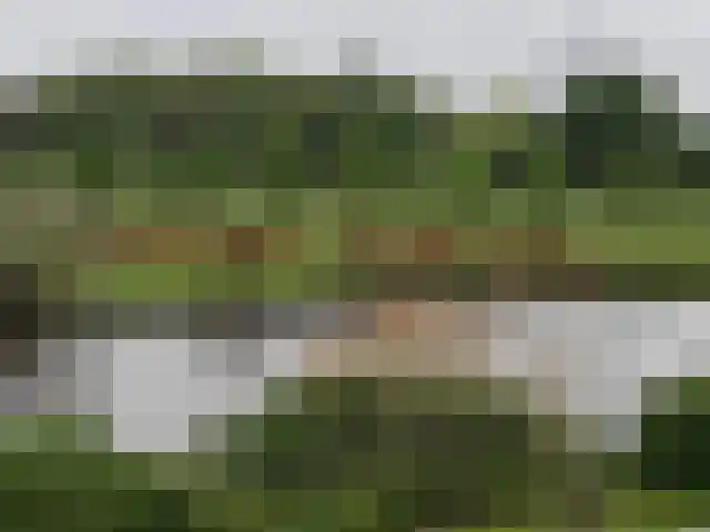 Richterdael 9 Roermond thumbnail 14